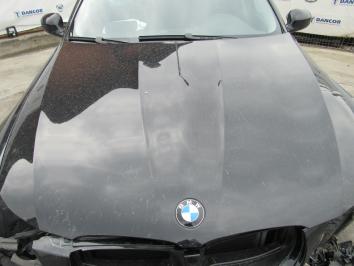 BMW 318 2.0D 2009 Diesel poza BMW 318 2.0D 2009 Diesel