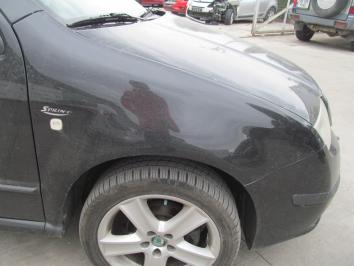 poza Skoda Fabia 1.9TDI 2007 Diesel