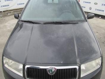 poza Skoda Fabia 1.9TDI 2007 Diesel