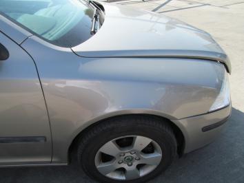 Skoda Octavia 1.9TDI 2008 Diesel poza Skoda Octavia 1.9TDI 2008 Diesel