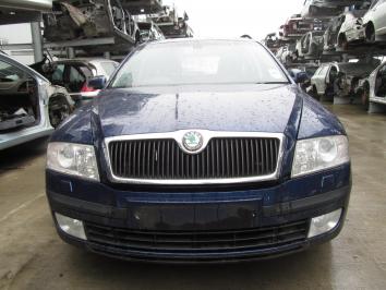 poza Skoda Octavia 2.0TDI 2007 Diesel