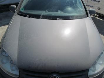 poza Volskwagen Golf 1.9TDI 2004 Diesel